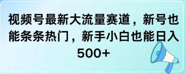视频号最新大流量赛道，新号也能条条热门，新手小白也能日入5张-骏阁网