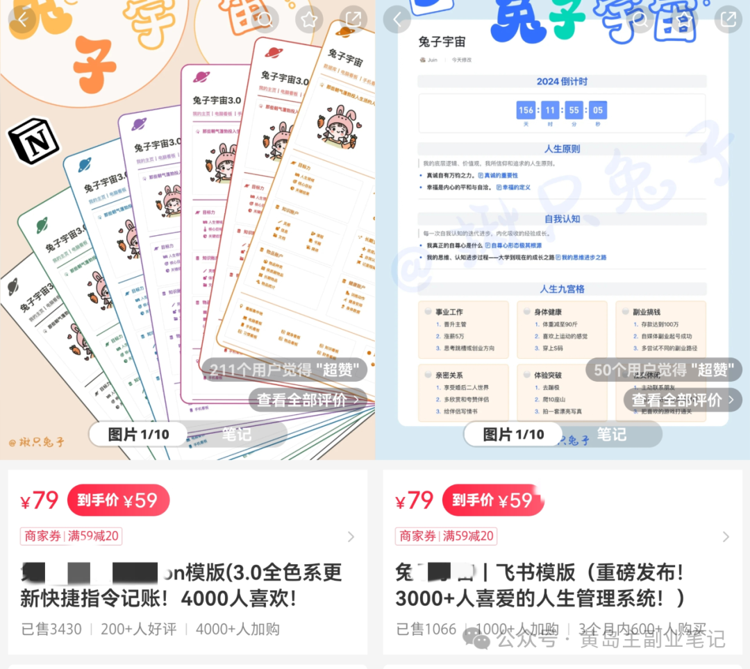 仅凭一份软件模板，轻松入账20W+！-骏阁网