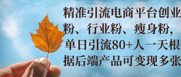 小投资撬动大收益，精准引流创业粉、行业粉，单日引流80+，一天可变现多张-骏阁网