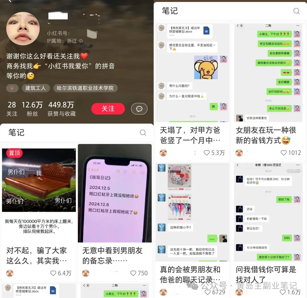 冒泡网赚：仅凭几张简单的聊天记录，涨粉12.6w+！-骏阁网