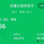 冒泡网赚:做好一个视频号加一个公众号可养活了一生-骏阁网