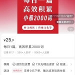 冒泡网：小众虚拟资源项目，AI批量制作，卖了13w+-骏阁网