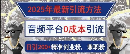 2025年最新引流方法，音频平台0成本引流，日引200+精准创业粉-骏阁网