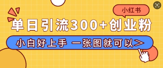 小红书单日引流300+创业粉，“简单粗暴”引流法，小白好上手，私信回不完-骏阁网