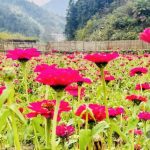 冒泡网赚：2025开始布局：风口已经很明显了!-骏阁网