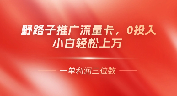 0门槛推广流量卡，一单收益上百，0投入，小白月入过W-骏阁网