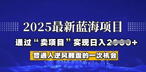 2025年首次揭秘如何通过“网创项目”日入多张【揭秘】-骏阁网