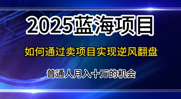 2025蓝海项目，普通人如何通过卖项目实现逆风翻盘，月入10个【揭秘】-骏阁网