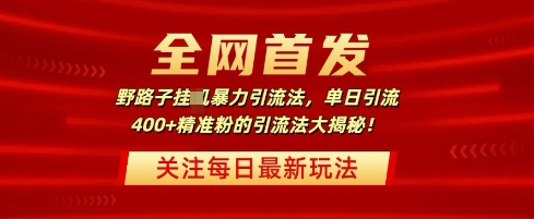 全网首发，野路子暴力引流法，单日引流400+精准粉的引流法大揭秘-骏阁网