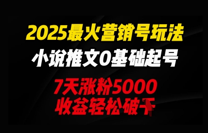 2025最火营销号玩法：小说推文0基础起号，7天涨粉5000，收益轻松破k-骏阁网