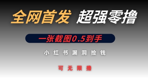 全网首发无限零撸捡钱项目，小红书一张截图0.5元可无限零撸-骏阁网