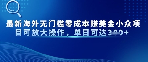最新海外无门槛美金小众项目可放大操作，单日可达3张-骏阁网