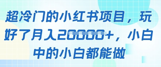 超冷门的小红书项目，玩好了月入过1w，小白中的小白都能做-骏阁网
