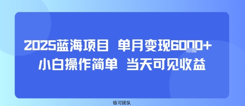 2025蓝海项目 单月变现6k+ 小白操作简单 当天可见收益-骏阁网