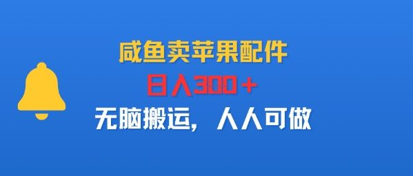 咸鱼卖苹果配件，日入3张+，无脑搬运，人人可做-骏阁网