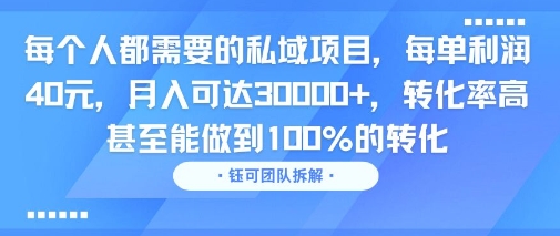 每个人都需要的私域项目，每单利润40米，月入可达3W+，转化率高 甚至能做到100%的转化-骏阁网