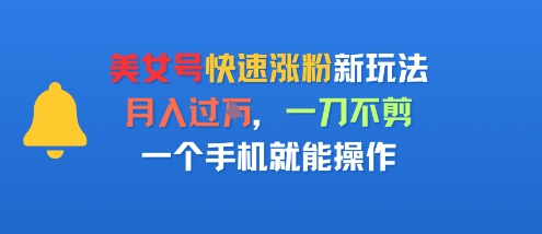 美女号快速涨粉新玩法，月入过W，一刀不剪，一个手机就能操作-骏阁网
