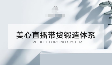 直播带货锻造体系课，5G时代美心一站式帮你开启直播带货之路【音频】-骏阁网