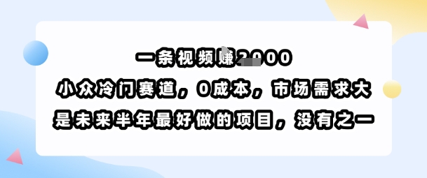 02cbe37591ab831293633ffe4022fa31.jpeg 一条视频挣1k,小众冷门赛道,0成本,市场需求大,是未来半年最好做的项目,没有之一