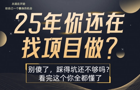 25年，你还在疯狂的找项目吗？别傻了，看完这个你都懂了【揭秘】-骏阁网