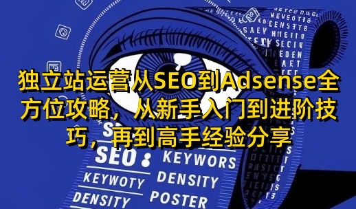 独立站运营从SEO到Adsense全方位攻略，从新手入门到进阶技巧，再到高手经验分享-骏阁网