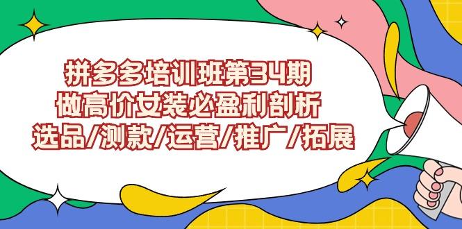 (9333期)拼多多培训班第34期：做高价女装必盈利剖析  选品/测款/运营/推广/拓展-骏阁网