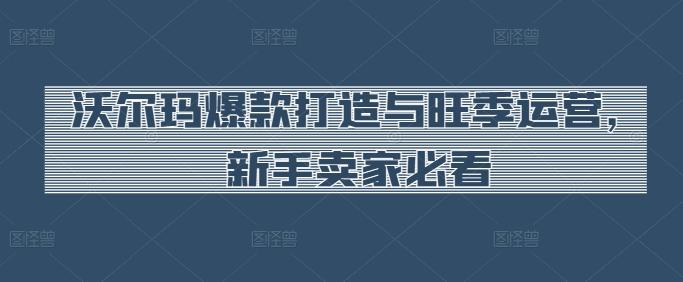 沃尔玛爆款打造与旺季运营，新手卖家必看-骏阁网