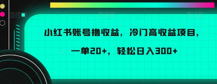 小红书账号撸收益，冷门高收益项目，一单20+，轻松日入300+【揭秘】-骏阁网
