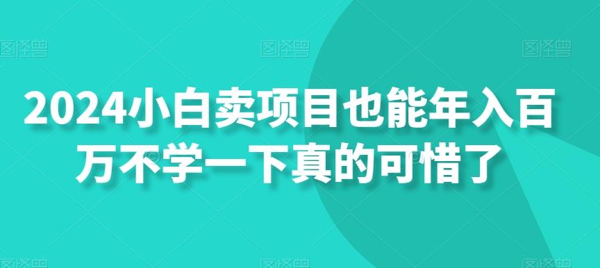 2024小白卖项目也能年入百万不学一下真的可惜了-骏阁网