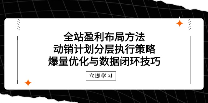 全站盈利布局方法：动销计划分层执行策略，爆量优化与数据闭环技巧-骏阁网
