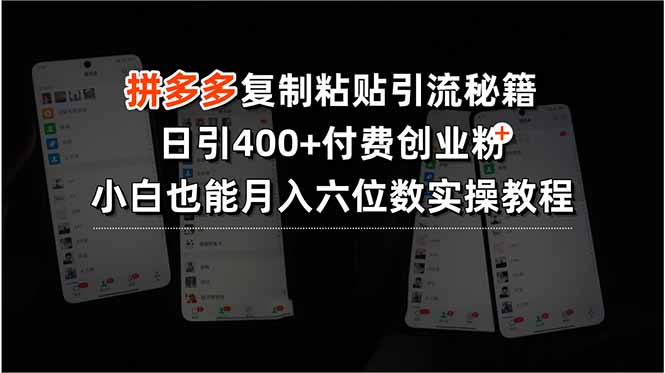 拼多多复制粘贴引流秘籍，日引400+付费创业粉，小白也能月入六位数实操…-骏阁网
