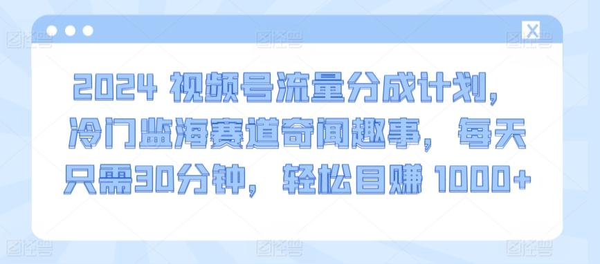 2024视频号流量分成计划，冷门监海赛道奇闻趣事，每天只需30分钟，轻松目赚 1000+【揭秘】-骏阁网