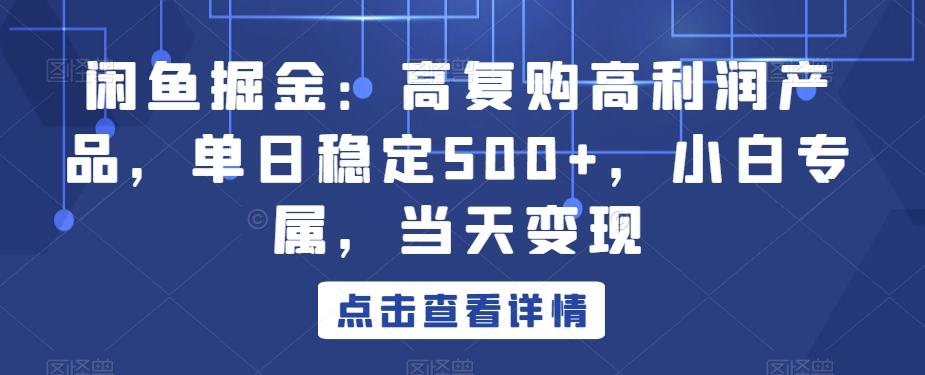 闲鱼掘金：高复购高利润产品，单日稳定500+，小白专属，当天变现-骏阁网