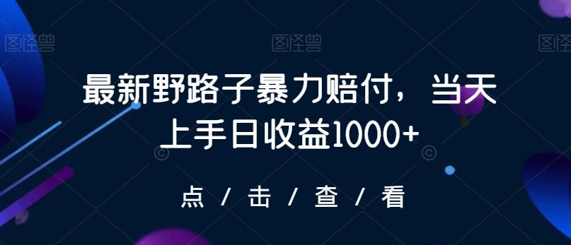 最新野路子暴力赔付，当天上手日收益1000+【仅揭秘】-骏阁网