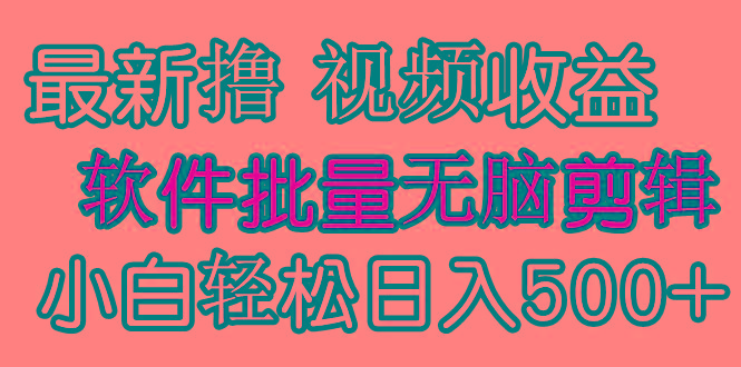 (9569期)发视频撸收益，软件无脑批量剪辑，第一天发第二天就有钱-骏阁网
