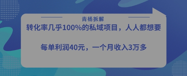 转化率最高的私域项目，每单利润40-50米，月入过1w-骏阁网