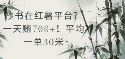 抄书在小红薯平台？平均一单30米，一天收益几张！-骏阁网