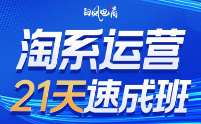 白凤电商·淘系运营21天速成班(更新8月)-骏阁网