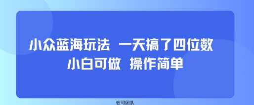 小众蓝海玩法 一天搞了四位数 小白可做 操作简单-骏阁网