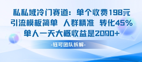私域冷门赛道单个收费198米引流模板简单人群精准 45%的转化率单人一天大概收益多张-骏阁网