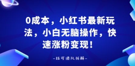 0成本，小红书最新玩法，小白无脑操作，快速涨粉变现-骏阁网