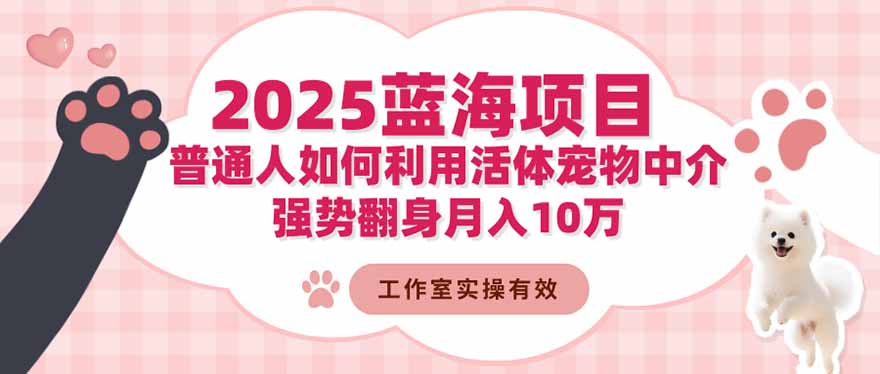 2025蓝海项目：普通人如何利用活体宠物中介，强势翻身月入10万-骏阁网