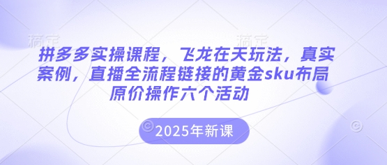 拼多多实操课程，飞龙在天玩法，真实案例，直播全流程链接的黄金sku布局原价操作六个活动-骏阁网
