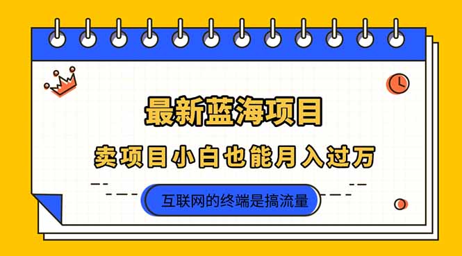 2025年最新蓝海项目，卖项目小白也能月入过万-骏阁网