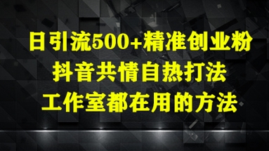 日引流500+精准创业粉，抖音共情自热打法，工作室都在用的方法-骏阁网