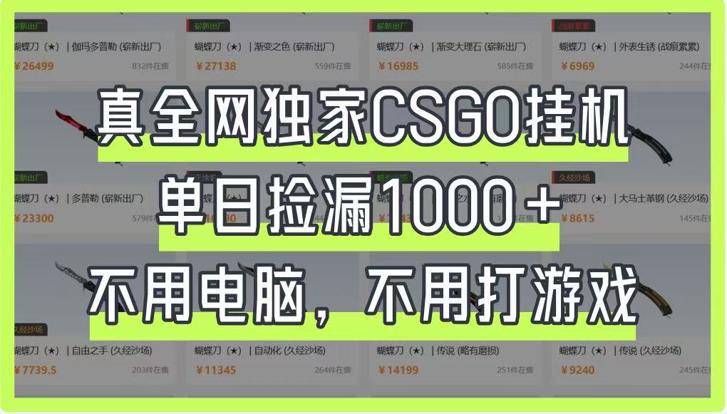 真全网独家CSGO挂机，单日捡漏1000+，不用电脑，不用养号-骏阁网