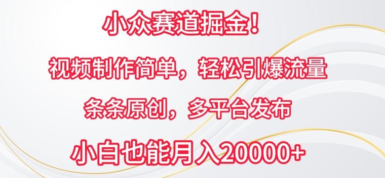 小众赛道掘金，视频制作简单，轻松引爆流量，条条原创，多平台发布【揭秘】-骏阁网