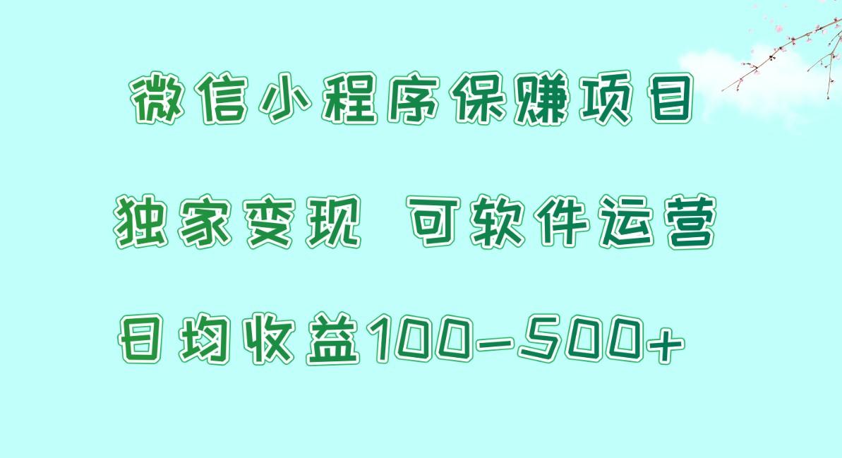 微信小程序保赚项目，日均收益100~500+，独家变现，可软件运营-骏阁网