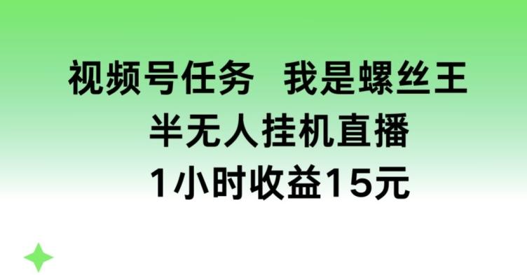 视频号任务，我是螺丝王， 半无人挂机1小时收益15元【揭秘】-骏阁网