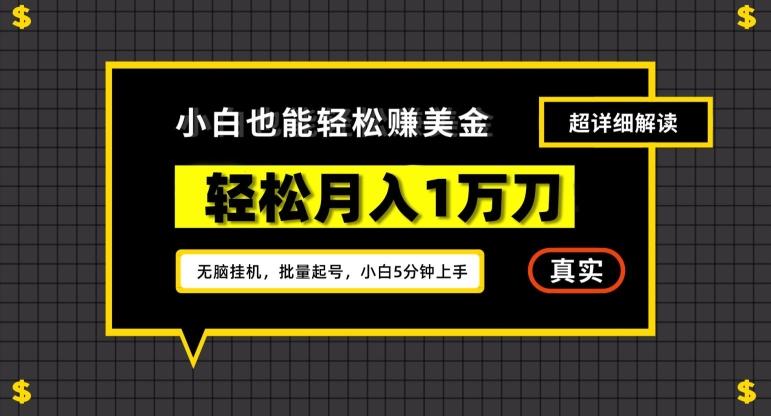 谷歌看广告撸美金2.0，无脑挂机，多号操作，月入1万刀【揭秘】-骏阁网